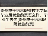 贵州电子信息职业技术学院毕业后就业前景怎么样，毕业生去向(贵州电子信息职院就业前景)