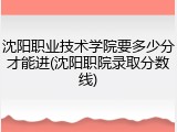 沈阳职业技术学院要多少分才能进(沈阳职院录取分数线)