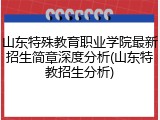 山东特殊教育职业学院最新招生简章深度分析(山东特教招生分析)