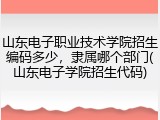山东电子职业技术学院招生编码多少，隶属哪个部门(山东电子学院招生代码)