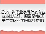 辽宁广告职业学院什么专业就业比较好，原因是啥(辽宁广告职业学院优势专业)