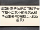 海南比勒费尔德应用科学大学毕业后就业前景怎么样，毕业生去向(海南比大就业前景)