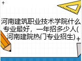 河南建筑职业技术学院什么专业最好，一年招多少人(河南建院热门专业招生)