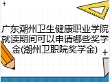 广东潮州卫生健康职业学院就读期间可以申请哪些奖学金(潮州卫职院奖学金)
