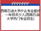 西南石油大学什么专业最好，一年招多少人(西南石油大学热门专业招生)