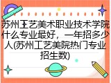 苏州工艺美术职业技术学院什么专业最好，一年招多少人(苏州工艺美院热门专业招生数)