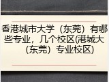 香港城市大学（东莞）有哪些专业，几个校区(港城大（东莞）专业校区)