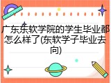 广东东软学院的学生毕业都怎么样了(东软学子毕业去向)