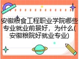 安徽粮食工程职业学院哪些专业就业前景好，为什么(安徽粮院好就业专业)