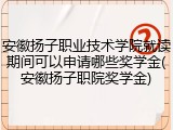安徽扬子职业技术学院就读期间可以申请哪些奖学金(安徽扬子职院奖学金)