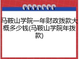 马鞍山学院一年财政拨款大概多少钱(马鞍山学院年拨款)