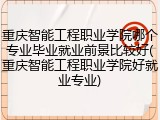 重庆智能工程职业学院哪个专业毕业就业前景比较好(重庆智能工程职业学院好就业专业)