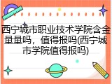 西宁城市职业技术学院含金量量吗，值得报吗(西宁城市学院值得报吗)