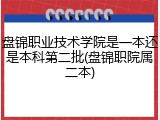 盘锦职业技术学院是一本还是本科第二批(盘锦职院属二本)