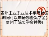 贵州工业职业技术学院就读期间可以申请哪些奖学金(贵州工院奖学金种类)