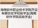 海南软件职业技术学院开设有哪些奖学和助学金(海南软件学院奖助学金)
