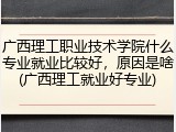 广西理工职业技术学院什么专业就业比较好，原因是啥(广西理工就业好专业)