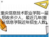 重庆信息技术职业学院一届招收多少人，最近几年(重庆信息学院近年招生人数)