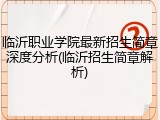 临沂职业学院最新招生简章深度分析(临沂招生简章解析)