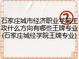 石家庄城市经济职业学院主攻什么方向有哪些王牌专业(石家庄城经学院王牌专业)