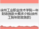 徐州工业职业技术学院一年财政拨款大概多少钱(徐州工院年财政拨款)