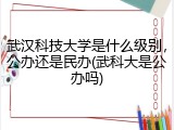 武汉科技大学是什么级别，公办还是民办(武科大是公办吗)