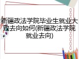 新疆政法学院毕业生就业大致去向如何(新疆政法学院就业去向)