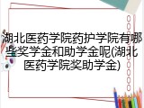 湖北医药学院药护学院有哪些奖学金和助学金呢(湖北医药学院奖助学金)