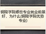 铜陵学院哪些专业就业前景好，为什么(铜陵学院优势专业)