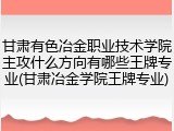 甘肃有色冶金职业技术学院主攻什么方向有哪些王牌专业(甘肃冶金学院王牌专业)