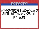 安徽绿海商务职业学院就读期间挂科了怎么办呢？(挂科怎么办)