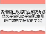 贵州铜仁数据职业学院有哪些奖学金和助学金呢(贵州铜仁数据学院奖助学金)