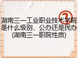 湖南三一工业职业技术学院是什么级别，公办还是民办(湖南三一职院性质)