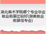 湖北美术学院哪个专业毕业就业前景比较好(湖美就业前景佳专业)