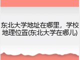 东北大学地址在哪里，学校地理位置(东北大学在哪儿)