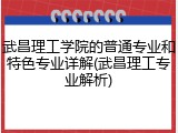 武昌理工学院的普通专业和特色专业详解(武昌理工专业解析)