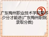 广东梅州职业技术学院要多少分才能进(广东梅州职院录取分数)