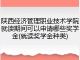 陕西经济管理职业技术学院就读期间可以申请哪些奖学金(就读奖学金种类)