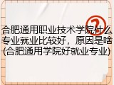 合肥通用职业技术学院什么专业就业比较好，原因是啥(合肥通用学院好就业专业)