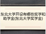 东北大学开设有哪些奖学和助学金(东北大学奖学金)