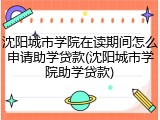 沈阳城市学院在读期间怎么申请助学贷款(沈阳城市学院助学贷款)
