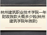 林州建筑职业技术学院一年财政拨款大概多少钱(林州建筑学院年拨款)