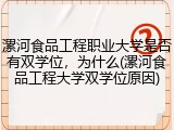 漯河食品工程职业大学是否有双学位，为什么(漯河食品工程大学双学位原因)