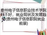 贵州电子信息职业技术学院好不好，就业现状及发展趋势(贵州电子信息职院就业前景)