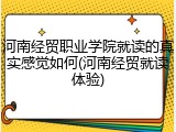 河南经贸职业学院就读的真实感觉如何(河南经贸就读体验)