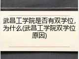 武昌工学院是否有双学位，为什么(武昌工学院双学位原因)