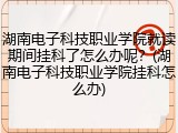 湖南电子科技职业学院就读期间挂科了怎么办呢？(湖南电子科技职业学院挂科怎么办)