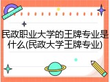 民政职业大学的王牌专业是什么(民政大学王牌专业)