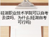 硅湖职业技术学院可以自考去读吗，为什么(硅湖自考可行吗)