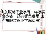 山东服装职业学院一年学费多少钱，还有哪些费用(山东服装职业学院费用)